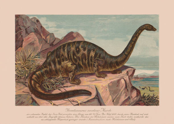 Ilustrace Brontosaurus excelsus, Late Jurassic epoch, chromolithograph,, ZU_09, 40 × 30 cm