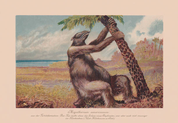 Ilustrace Megatherium americanum, extinct giant ground sloth,, ZU_09, 40 × 26.7 cm