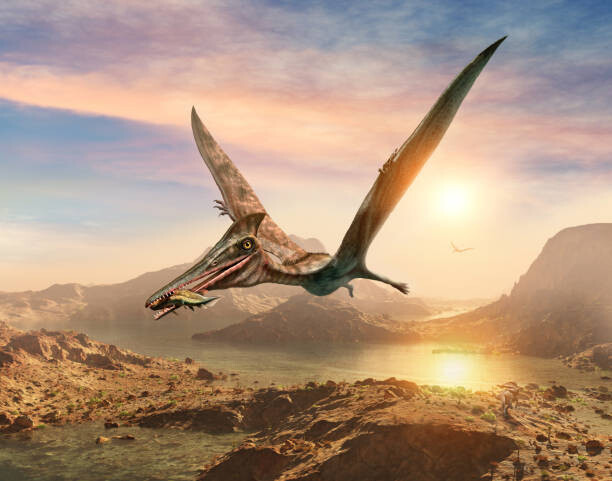 Ilustrace Pterosaur scene 3D illustration, Warpaintcobra, 40 × 30 cm