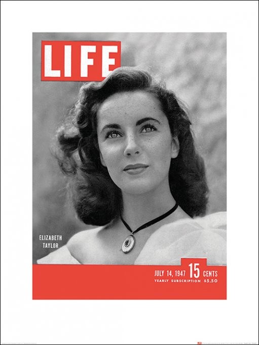 Umělecký tisk Time Life - Life Cover - Elizabeth Taylor