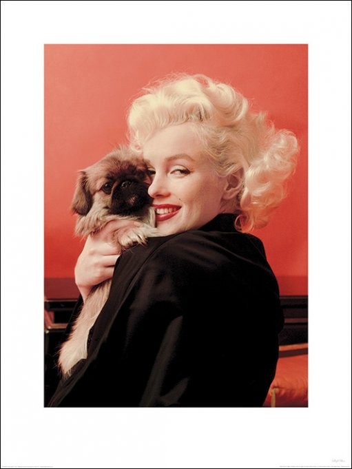 Kunstdruk Marilyn Monroe - Love