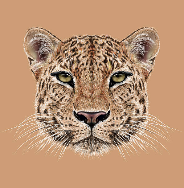 Fotografie Illustrative Portrait of Leopard, ant_art, 40 × 40 cm