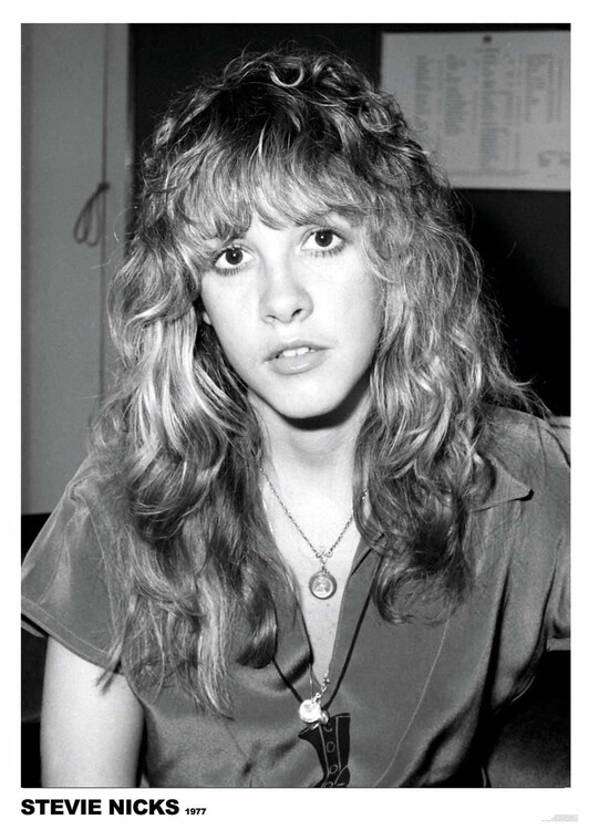 Levně Plakát, Obraz - Steve Nicks, 59.4 × 84.1 cm