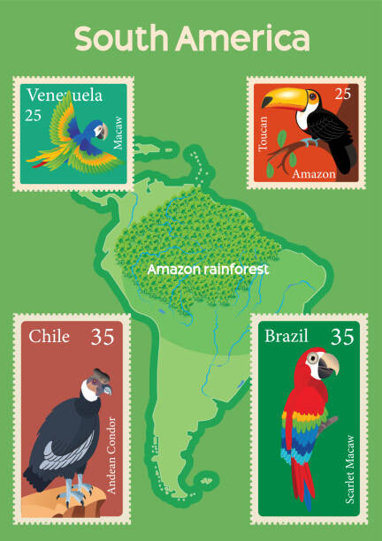 Ilustrace South America Map and Tropical Birds Stamps, drmakkoy, 30 × 40 cm