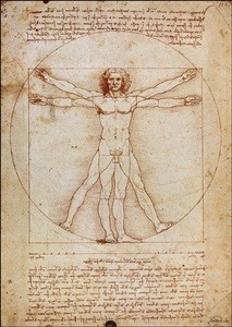 Poster incorniciato Vitruvian Man