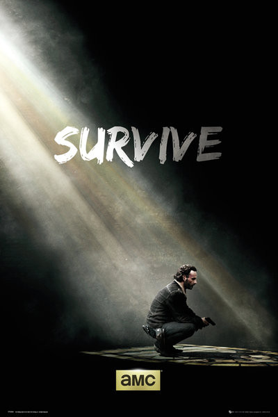 Gerahmte Poster The Walking Dead - Survive