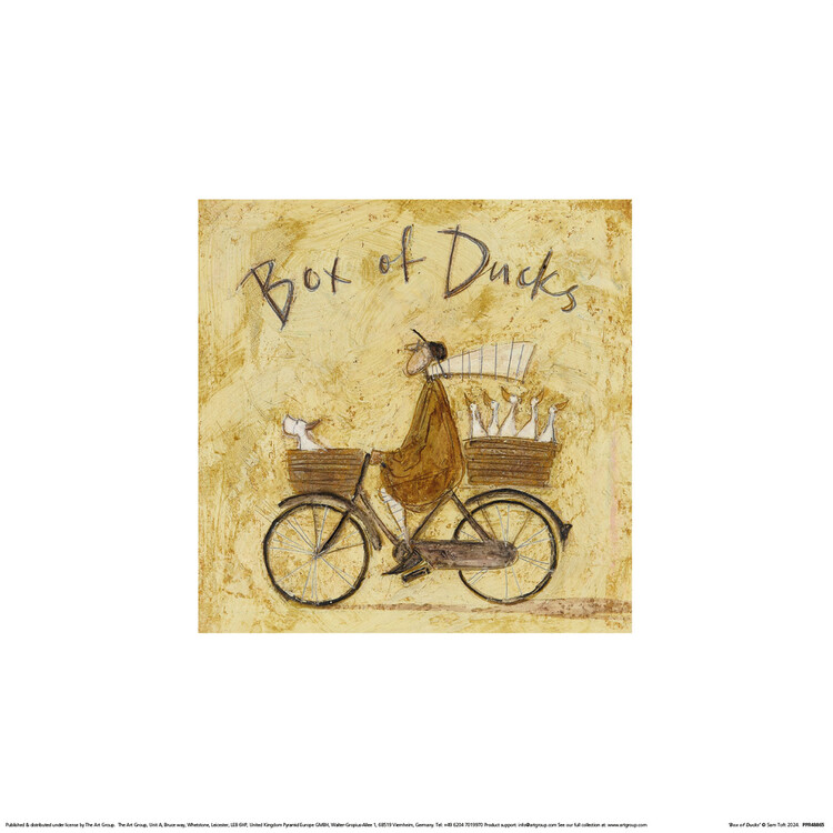 Művészeti nyomat Sam Toft - Box of Ducks