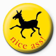Kitűző NICE ASS