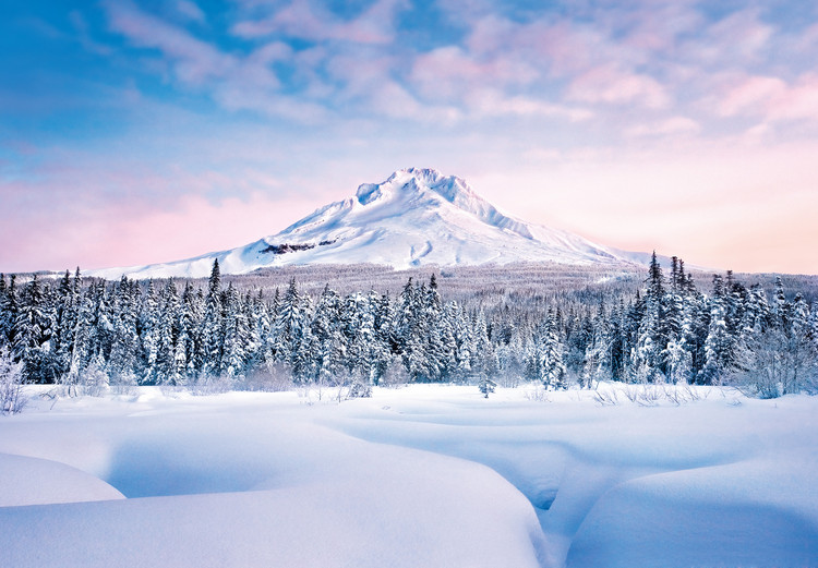 Wall Mural MOUNTAIN GRACEFUL