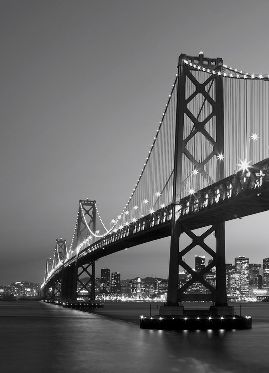 Fototapeta SAN FRANCISCO - skyline