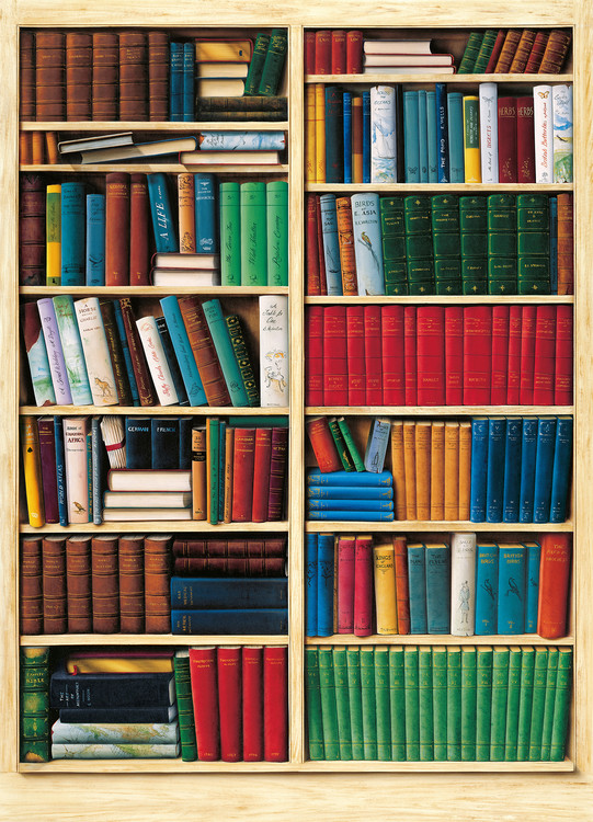 Wall Mural BIBLIOTHÉQUE