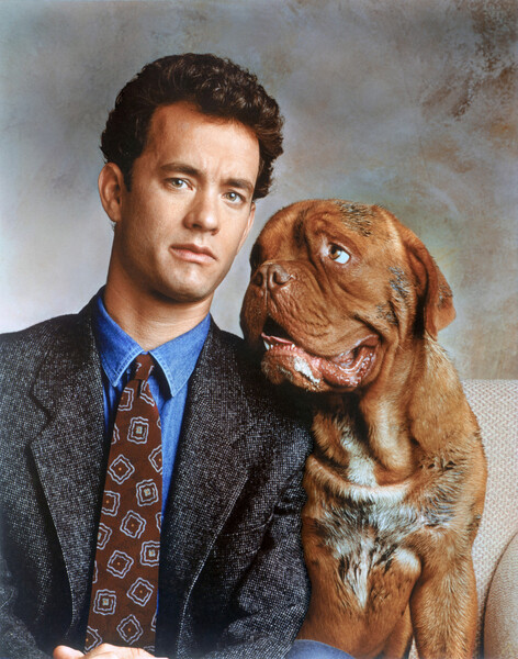 Plakát, Obraz - Tom Hanks, Turner & Hooch 1989 Directed By Roger Spottiswoode, 30 × 40 cm