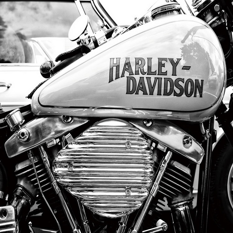 Quadri in vetro Harley Davidson b&w