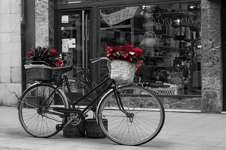 Glasbilder Old Bicycle - Red Flowers