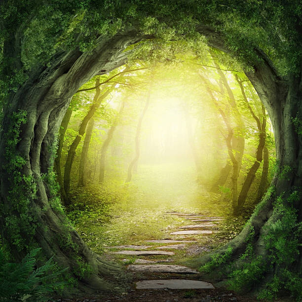 Plakát, Obraz - Stone road in magic forest leads to haze of light, egal, 40 × 40 cm