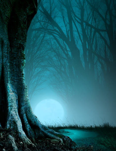 Levně Plakát, Obraz - Path Through A Haunted Forest, DNY59, 30 × 40 cm