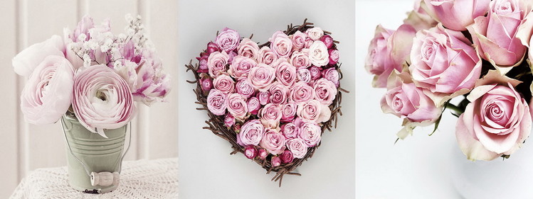 Glasbilder Pink World - Pink Roses