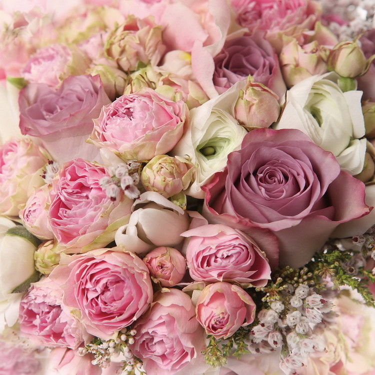 Glasbilder Romantic Roses 2