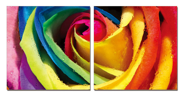 Rainbow Roses Schilderij