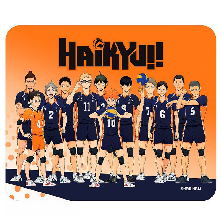 Podloga za miško Haikyu!! - Karasuno Team