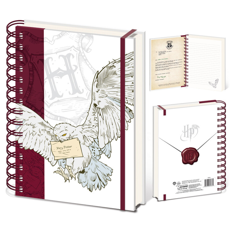 Quaderno Harry Potter - Special Delivery