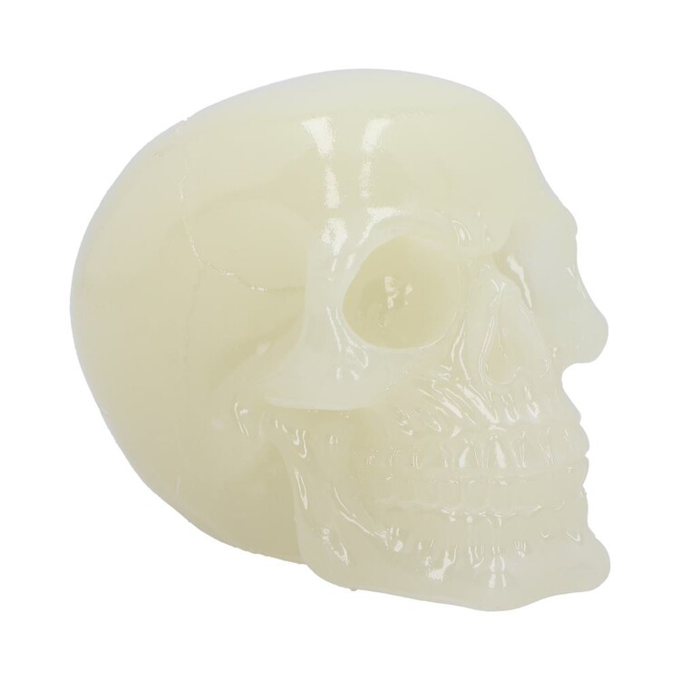 Figuur Phosphorescent Glow in the Dark