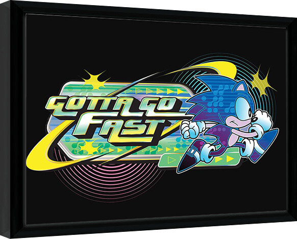 Levně Obraz na zeď - Sonic the Hedgehog - Khaos Gotta Go Fast, 44.5 x 34.3 cm