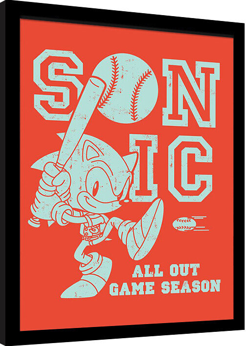 Obraz na zeď - Sonic the Hedgehog - All Out Game Season, 34.3 x 44.5 cm