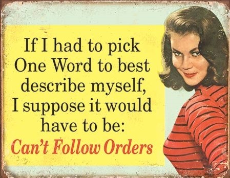 Plechová cedule Ephemera - One Word to Describe Myself