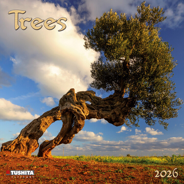Calendrier 2027 Trees