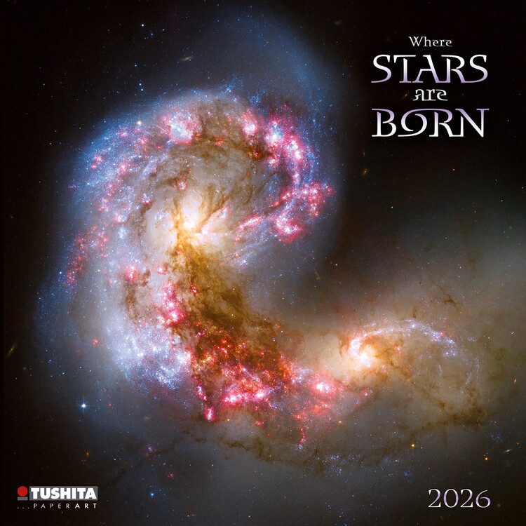 Calendario 2027 Where Stars are born