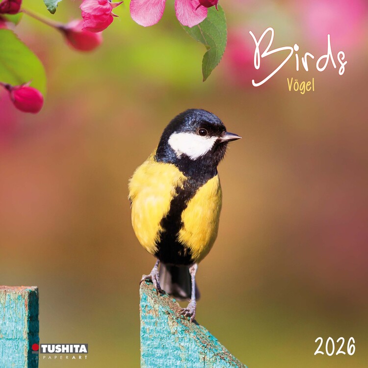 Naptár 2027 Birds