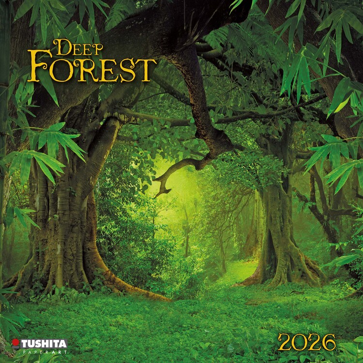 Kalendarz 2027 Deep Forest