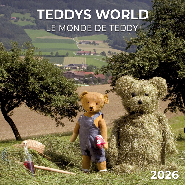 Calendario 2027 Teddy's World
