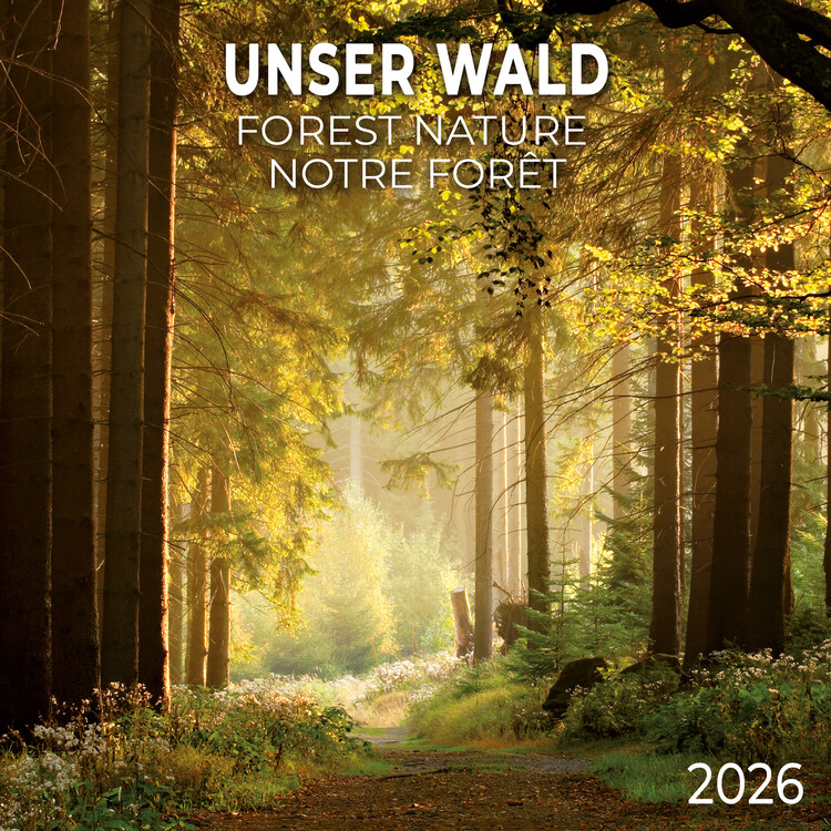 Calendar 2027 Forest Nature