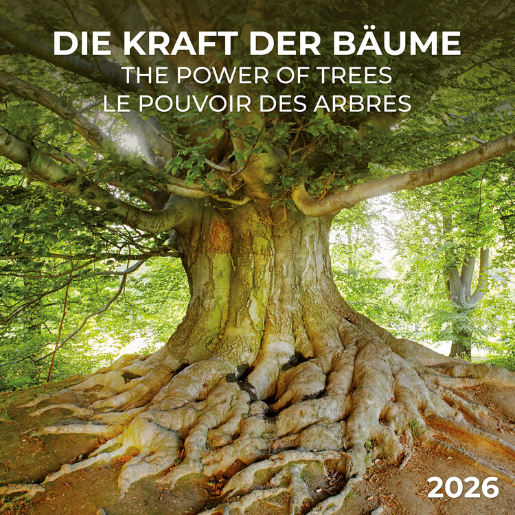 Calendario 2027 The Power of the Trees
