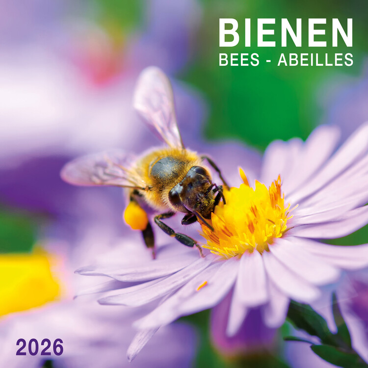 Naptár 2027 Bees