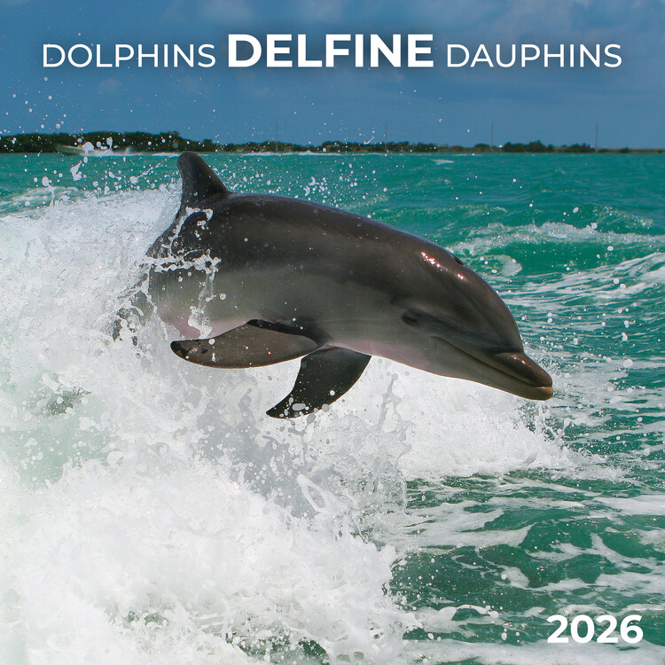 Naptár 2027 Dolphins