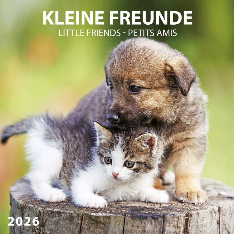Kalender 2027 Little Friends