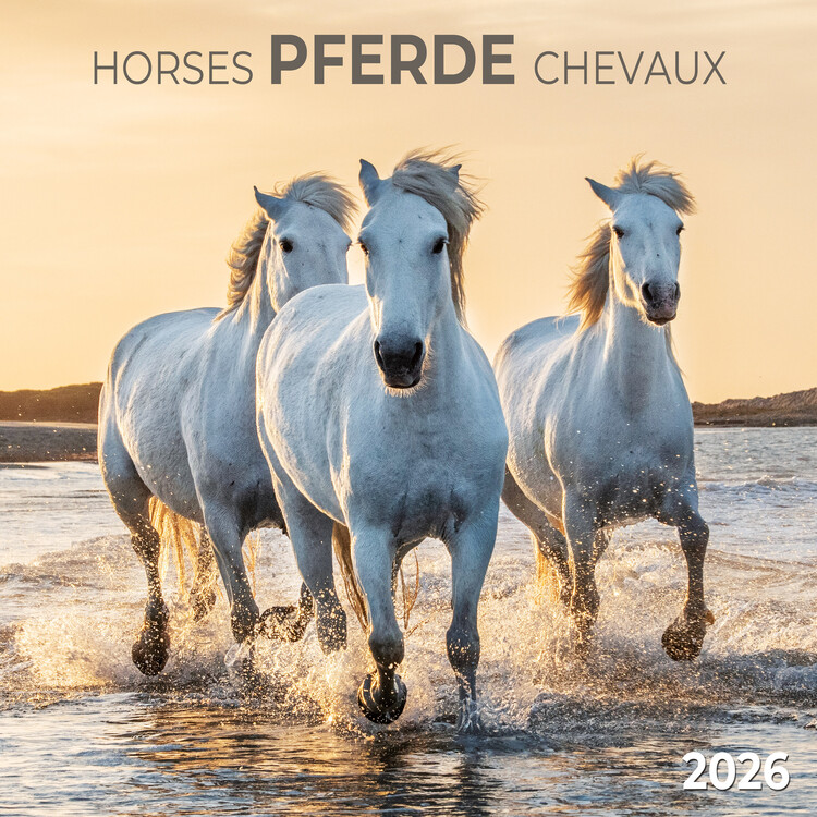 Kalender 2027 Horses