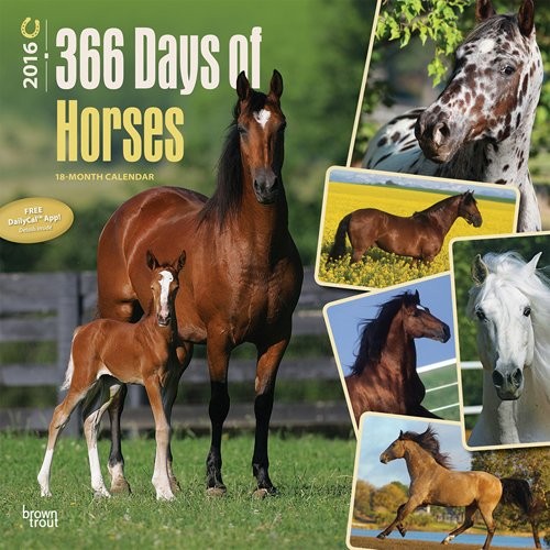 Calendar 2027 Horse 2