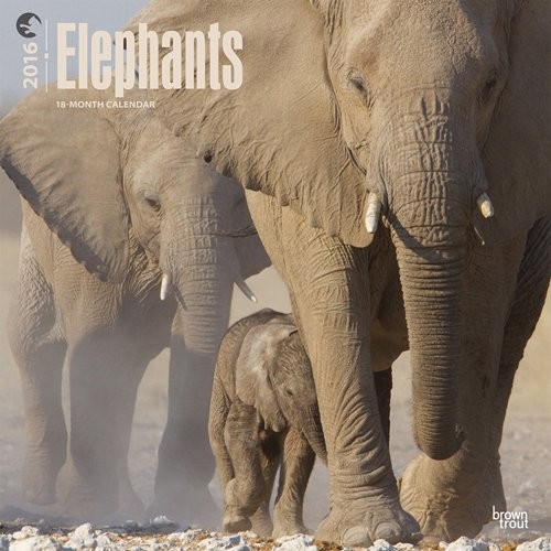 Kalender 2027 Elefant