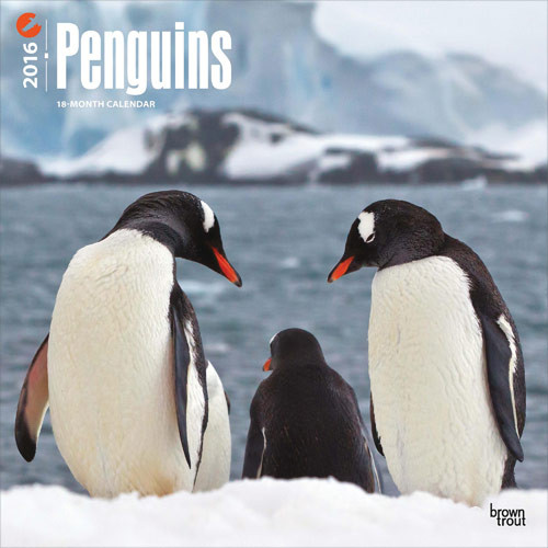 Kalender 2027 Pinguïns
