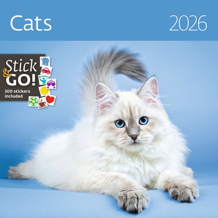 Naptár 2027 Cats