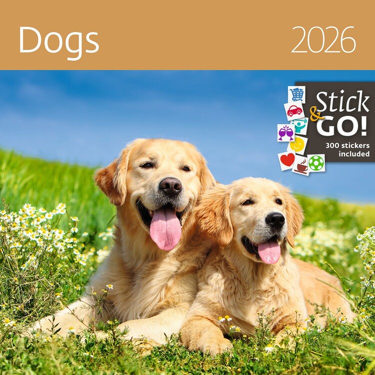 Naptár 2027 Dogs
