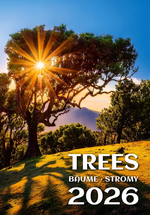 Calendario 2027 Trees