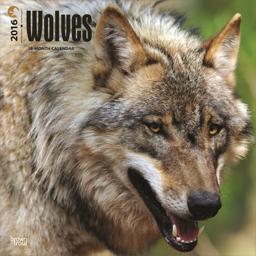 Calendar 2027 Wolves