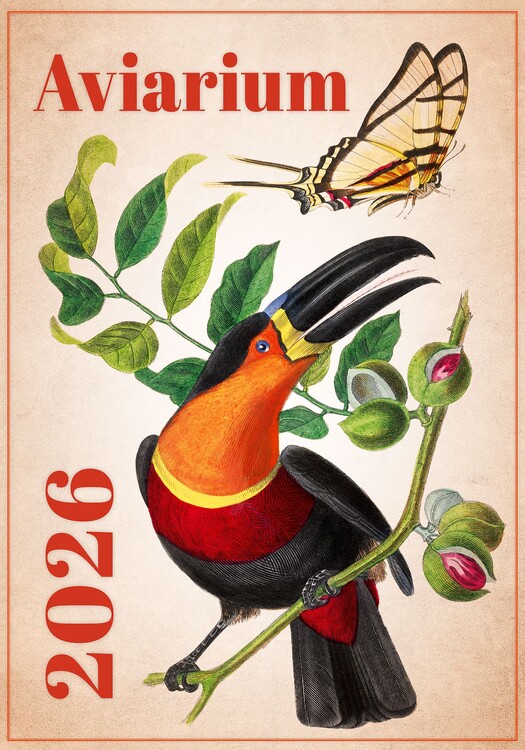 Calendario 2027 Aviarium