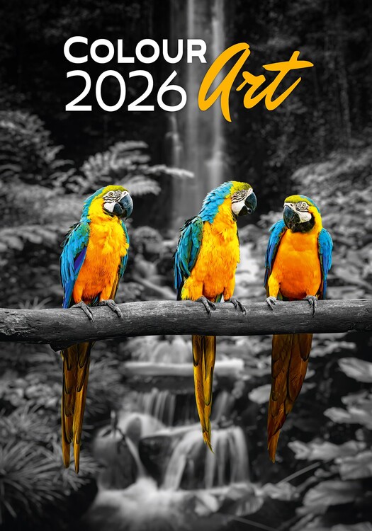 Kalender 2027 Colour Art