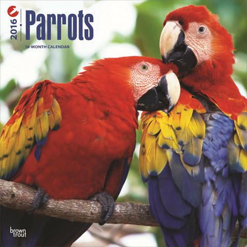 Calendrier 2027 Perroquets
